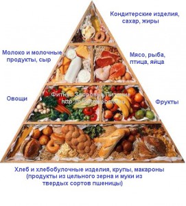 Правильное питание. Пищевая пирамида Фитнес.Здоровье.Питание ...